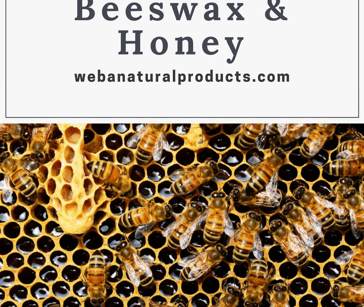 Why We Avoid Beeswax and Honey - WEBA Natural Products